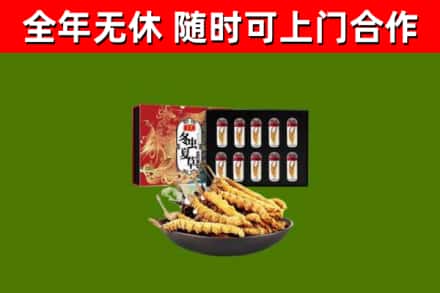 北流市回收冬虫夏草价格