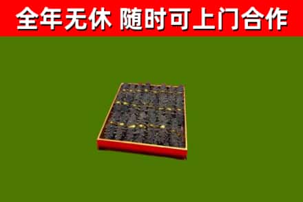 北流市回收海参